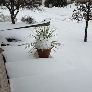 Meet your Posher, Pierre